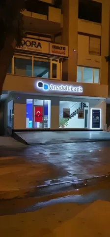Gece ışıklı tabelasıyla Anadolubank şubesi